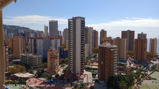 Amplio piso de esquina con terraza acristalada 20 m2 y vistas al mar en zona Levante. - ALICANTE