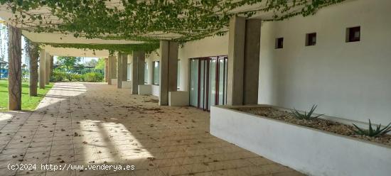 Local comercial de 584m2 en urb Parque Botanico, Benahavis. - MALAGA