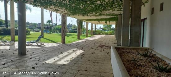 Local comercial de 584m2 en urb Parque Botanico, Benahavis. - MALAGA