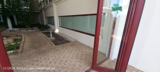 Local comercial de 584m2 en urb Parque Botanico, Benahavis. - MALAGA