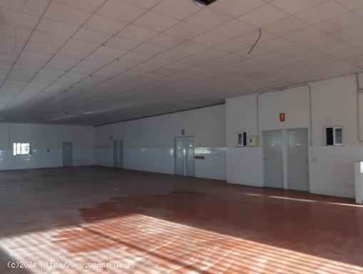 Se Vende en Elche - ALICANTE