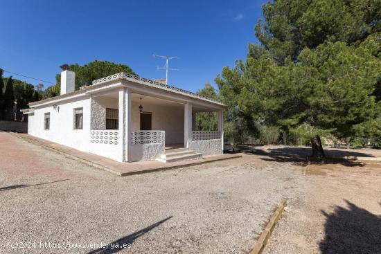 CAMPO EN CAMARA CON TERRENO DE 2.100 m2 - ALICANTE