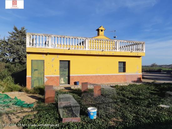 VENTA CHALET MONTIJO, CAMINO VIEJO BARBAÑO, JUNTO A LAS ENCANTADAS, LUZ DE LA RED, POZO DE AGUA - B