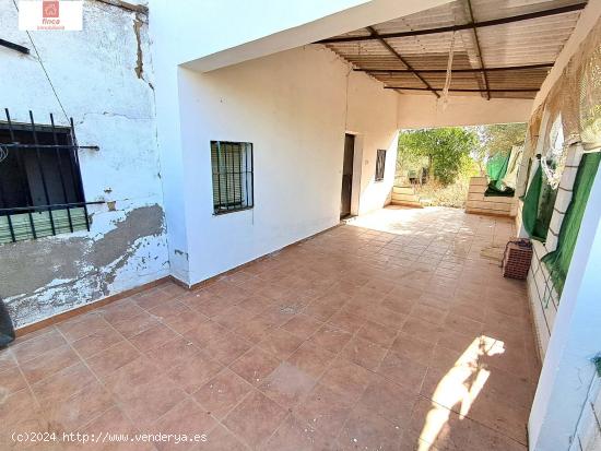 MONTIJO, CHALET EN VENTA, ZONA LAS CABEZAS JUNTO A LA CANCHA DE TIRO, 23.300 M2 - BADAJOZ