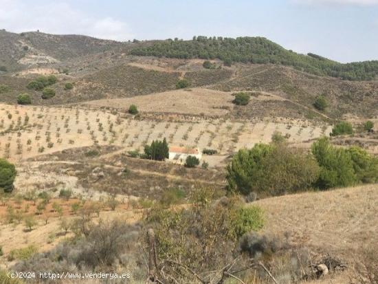 Casa en la Sierra de la Carrasquilla. Campo Lopez, a 30 kilometros  de   Lorca-Aguilas-Mazarron) - M