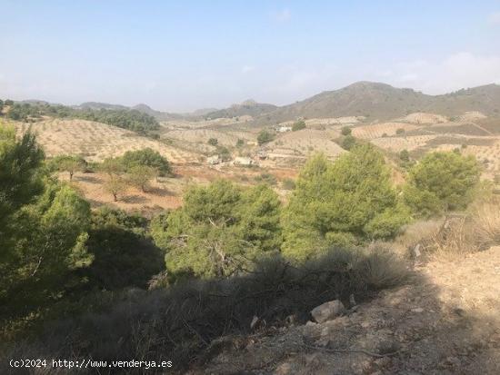 Casa en la Sierra de la Carrasquilla. Campo Lopez, a 30 kilometros  de   Lorca-Aguilas-Mazarron) - M