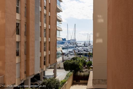  VENTA DE PISO EN EL PASEO MARITIMO DE PALMA - MALLORCA - BALEARES 