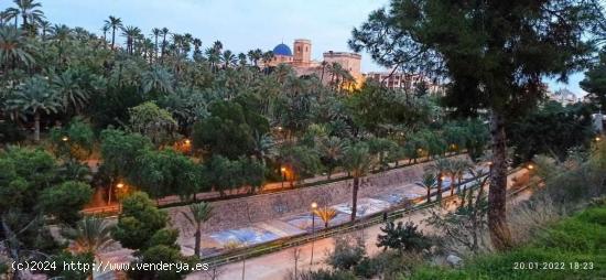 Apartamento en Elche (Alicante) - ALICANTE