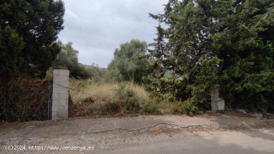 TERRENO RÚSTICO DE MÁS 12.000M2 CON LUZ, AGUA, LICENCIA Y PROYECTO PARA CONSTRUIR CASA. - ALICANTE