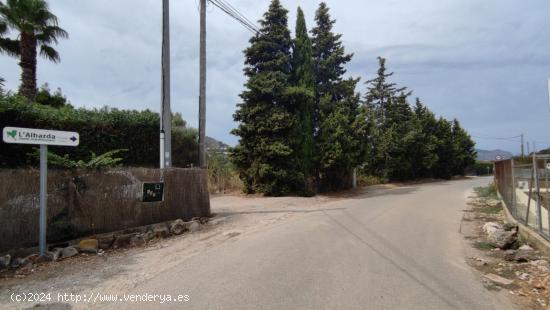 TERRENO RÚSTICO DE MÁS 12.000M2 CON LUZ, AGUA, LICENCIA Y PROYECTO PARA CONSTRUIR CASA. - ALICANTE