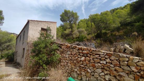 FINCA RÚSTICA DE MÁS 10.000M2 CON CASA DE 155M2 CON UBICACIÓN PRIVILEGIADA Y FÁCIL ACCESO - ALIC