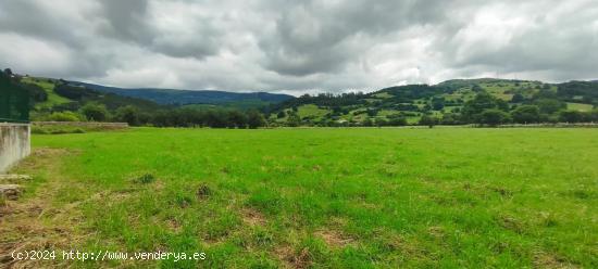 ESTUPENDO TERRENO URBANIZABLE EN SILIÓ.- - CANTABRIA