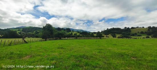 ESTUPENDO TERRENO URBANIZABLE EN SILIÓ.- - CANTABRIA