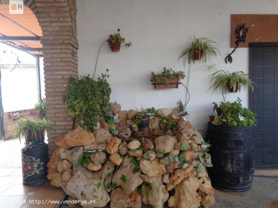 Experimenta la maravillosa vida en una casa de campo a solo 5 minutos de Córdoba! - CORDOBA