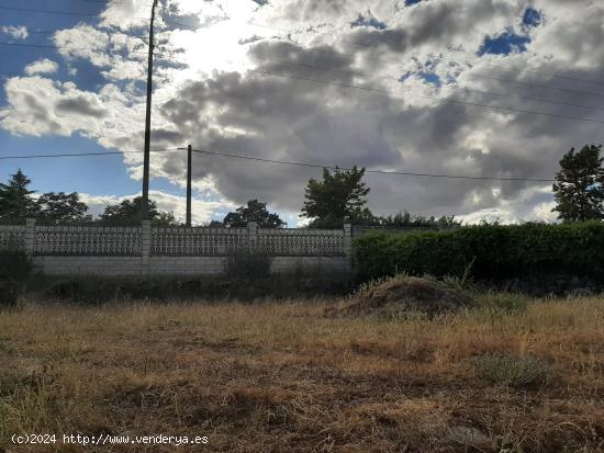 Terreno en el Monte del Casar - CACERES