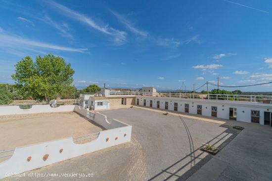 Finca rústica con campo de hípica y licencia de hostelería - BALEARES