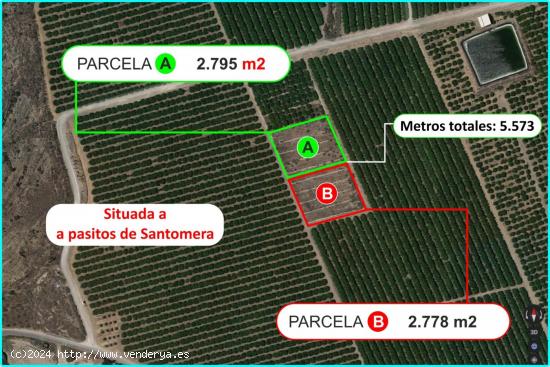 Parcela rústica en Santomera 5573 m2 - MURCIA