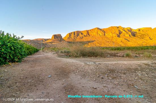 Parcela rústica en Santomera 5573 m2 - MURCIA