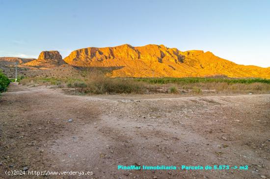 Parcela rústica en Santomera 5573 m2 - MURCIA