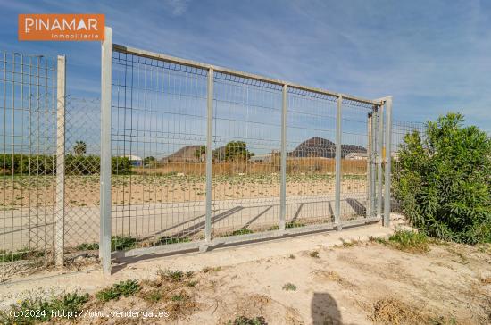 Parcela rústica vallada, con cuarto de aperos, a 300 metros del pueblo. - MURCIA