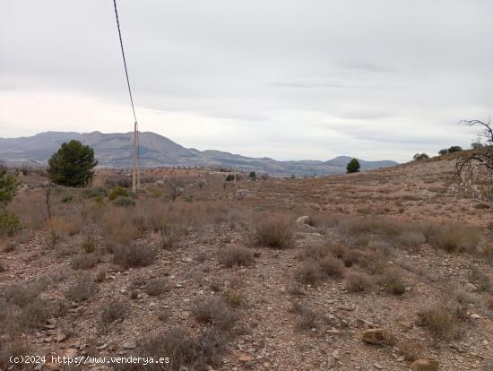 Terreno rural con acceso directo a autovía A7 - ALMERIA