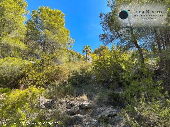 Terrenos en Altea Hills - ALICANTE