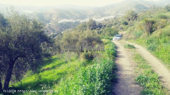 HERMOSA FINCA RURAL. - MALAGA