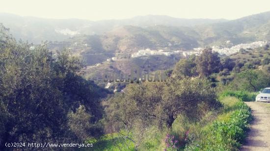 HERMOSA FINCA RURAL. - MALAGA