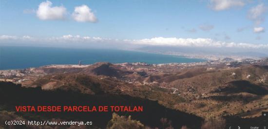 PARCELA RURAL CON VISTAS Y POSIBILIDADES - MALAGA