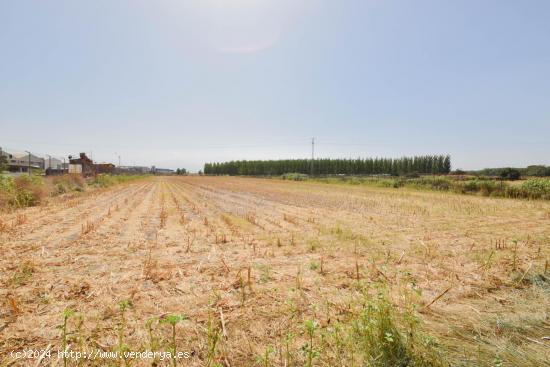  ¡Finca rústica de 4.785m² en Atarfe! - GRANADA 