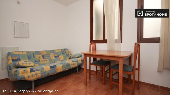 Apartamento de 2 dormitorios con múltiples balcones en el centro de la ciudad de Granada - GRANADA