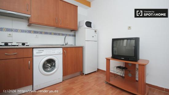 Apartamento de 2 dormitorios con múltiples balcones en el centro de la ciudad de Granada - GRANADA