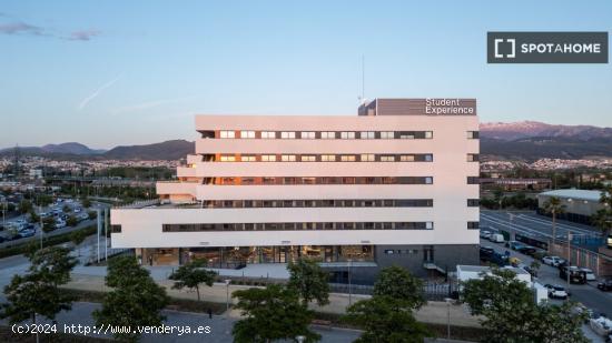 Estudio en Granada - GRANADA