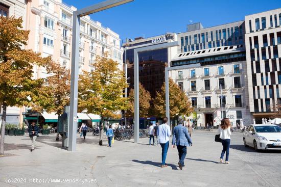 OFICINAS JUNTO A PLAZA ESPAÑA - ZARAGOZA