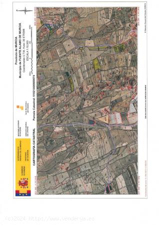 CONJUNTO DE TERRENOS DE SECANO EN FUENTE ÁLAMO - MURCIA