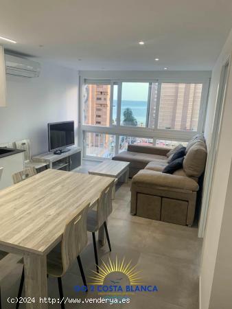 Se Vende en Benidorm - ALICANTE