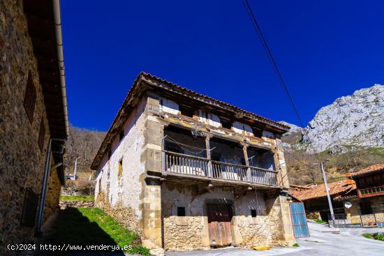  CASA DE PIEDRA EN DOBRES (VEGA DE LIEBANA) - CANTABRIA 