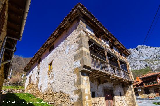 CASA DE PIEDRA EN DOBRES (VEGA DE LIEBANA) - CANTABRIA