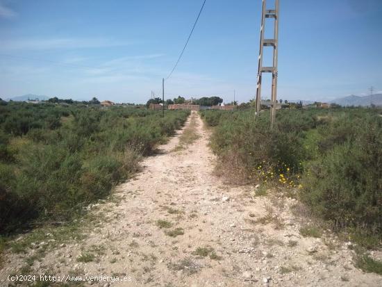 Parcela urbanizable en zona Matola Elche - ALICANTE