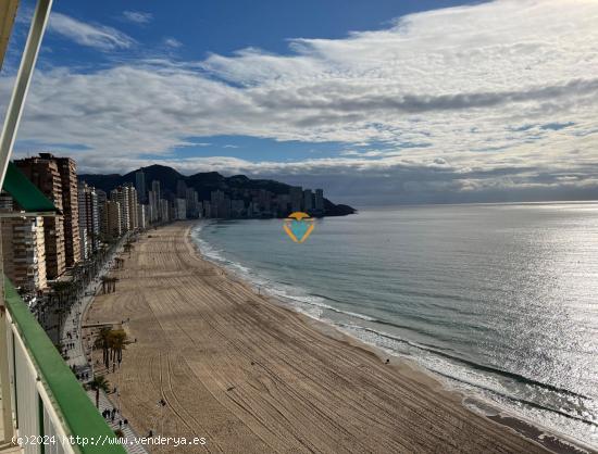 PISAZO REFORMADO CON PARKING EN PRIMERA LLINEA DE PLAYA LEVANTE!!! - ALICANTE