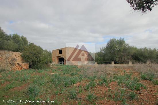 Finca rústica en gran terreno con vistas al mar - BALEARES