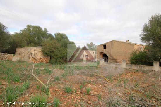 Finca rústica en gran terreno con vistas al mar - BALEARES