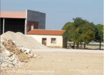  SOLAR. TERRENO RÚSTICO EN DAIMIEL - CIUDAD REAL 