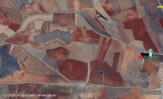  SOLAR. TERRENO AGRARIO EN VALENZUELA DE CALATRAVA. - CIUDAD REAL 