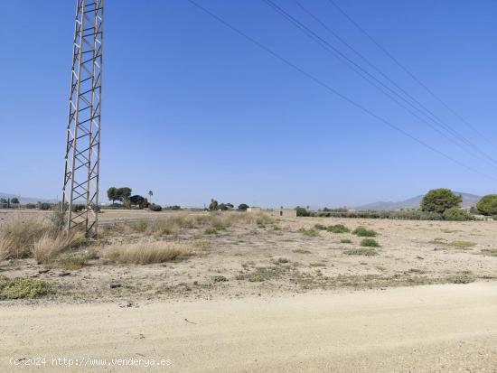 Parcela de Regadío - Totana - MURCIA