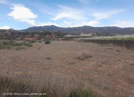 Parcela Agraria - Cordones, Alhama de Murcia - MURCIA