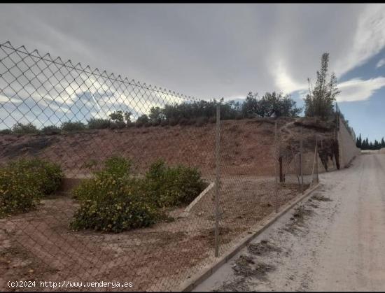 Terreno con Construcción en la Carretera Totana - Alhama de Murcia - MURCIA