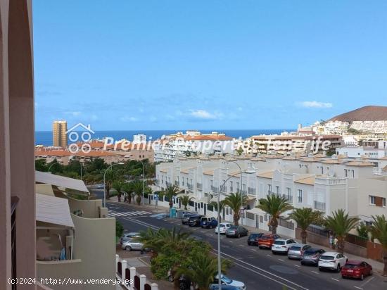 Apartamento con 1 dormitorio, Dinastía, Los Cristianos, Arona - SANTA CRUZ DE TENERIFE