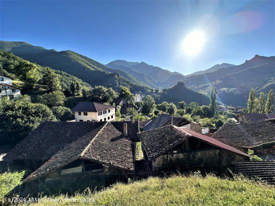 ¡¡NATURALEZA EN ESTADO PURO!! REALIZA EL PROYECTO DE TUS SUEÑOS EN LIÉBANA. (Ver vídeo) - CANTA