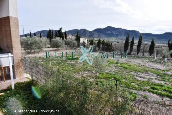 FINCA CON CASA GRANDE, PARCELA Y ARBOLES FRUTALES - MURCIA